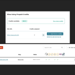 WPML shows wrong website account.png