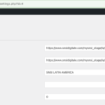 Edit Site: SNSI LATIN AMERICA ‹ Network Admin: Snsipro_dev Sites — WordPress 2024-07-05 10-02-08.png