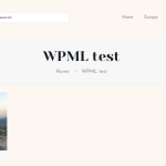 WPML test.PNG