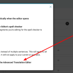 Advanced-Translation-Editor-WPML.png