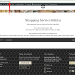 Shopping service Alpinlodges Kühtai 2024-07-29 11-04-17.png