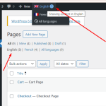 Admin language switcher - English selected.png