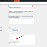 Edit category ‹ WPML — WordPress 2024-08-06 15-30-34.png