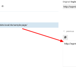 Advanced-Translation-Editor-WPML.png