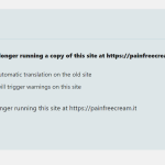 Translation-Management-‹-Painfree-Cream-—-WordPress.png