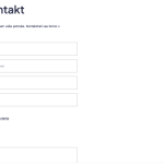 Page language.png