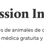 sfspca-impact-results.png