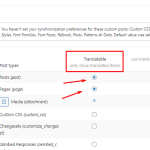 Enable custom post type translation.png