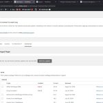 WPML is registered on this site.jpg