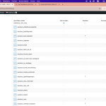 Schermafbeelding 2024-08-28 om 11.17.58.png