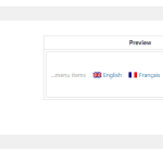 Edit language switcher settings.png