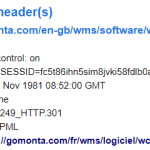redirect by wpml 1.png