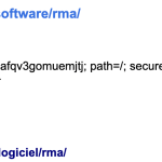 redirect by wpml 2.png