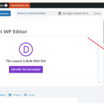 enable default WP Editor.png