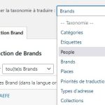 taxonomies-non-traduites-dans-traduction-taxonomie-wpml.jpg