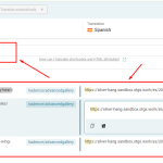 custom URL translation.png
