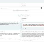 Advanced Translation Editor - WPML 2024-09-17 14-57-47.png