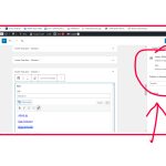 screenshot wpml 3.jpg