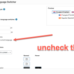 language-switcher-styling-1024x694.png