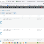 example RankMath Direction after Edit Product Page - example 1.png