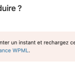 Capture d’écran 2024-10-01 à 13.58.48.png