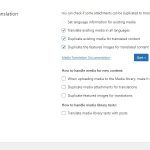 media translation settings.jpg