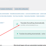 Translate everything automatically.png