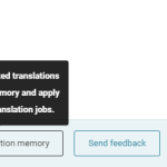 save to translation memory.png