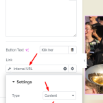 Step 4 - Search URL.png
