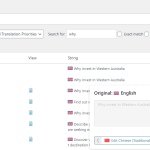 WPMenuSyncIssue-StringTranslation.png