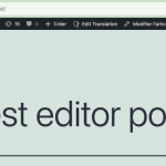 test editor post – WPML 2024-10-28 08-34-09.png