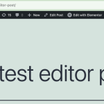 test editor post – WPML 2024-10-28 08-34-29.png