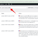 String Translation ‹ Pilote et Filles — WordPress 2024-11-01 10-06-46.png