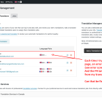 wpml-translator.png
