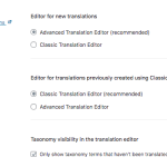 202411 translation editor settings.png