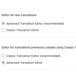 202411 translation editor settings2.png