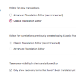 202411 translation editor settings 3.png