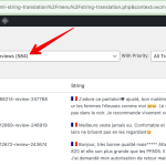 String Translation ‹ Pilote et Filles — WordPress 2024-11-15 08-37-05.png
