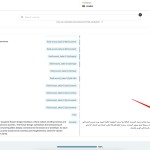Advanced Translation Editor - WPML 2024-11-19 09-07-56.png