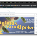 Screenshot 2024-11-29 alle 10.11.06 AM.png