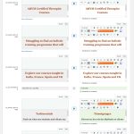 WPML-Home page french translation 2.jpg