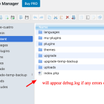 WP-File-Manager-‹-Sandbox-—-WordPress.png