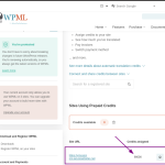 credits-in-wpml-dashboard.png
