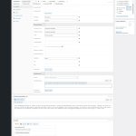2024-12-10-09_35_42-screencapture-der-seo-berater-de-wp-admin-post-php.jpg