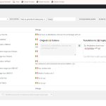 stringa- ho fatto traduzione in inglese si ripercuote in italiano.jpg