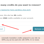 Step_3_Enter_the_number_of_credits.png