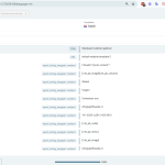 2025-01-24 21_52_23-Advanced Translation Editor - WPML.png
