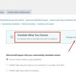 Translate What you choose.jpg