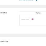 Edit language switcher settings.jpg