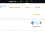 wpml widget not showing .jpg